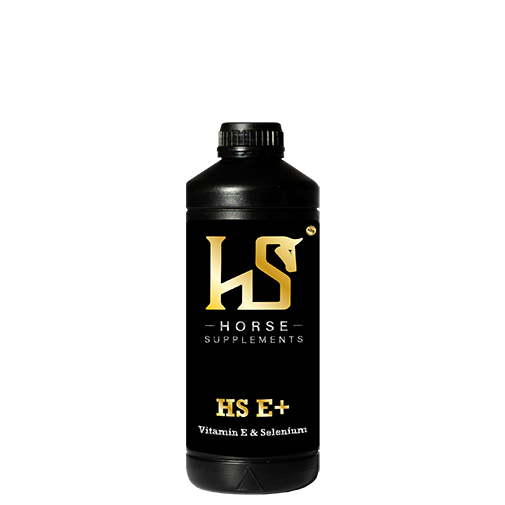 HS E+ 1L