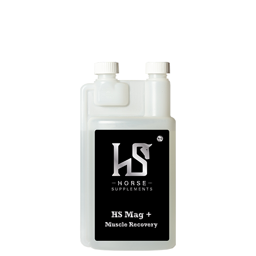 HS Mag+ 1L