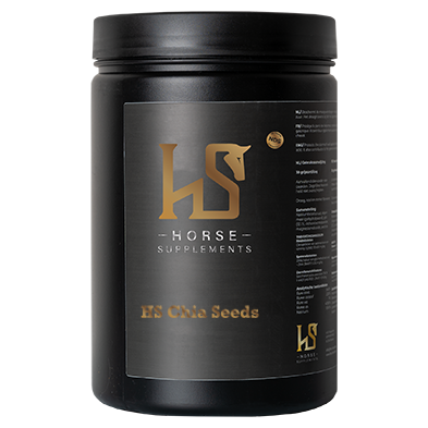 HS Chia Seeds 2 kg